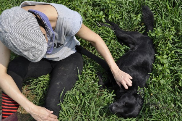 While Josie loved on Five, this pup relaxed in the grass and waited for her attention.