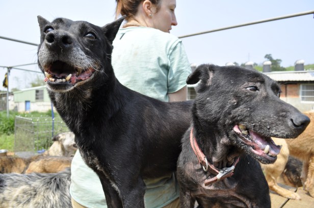 It was a great day to be outside.