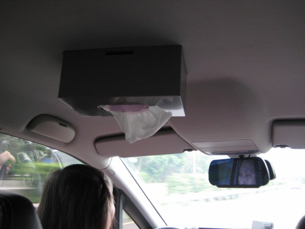 Linda, the mom of two of my former students, picked Sabrina and me up from the airport. Taiwanese are great about making things useful, like sticking a box of tissues to the ceiling of the car.