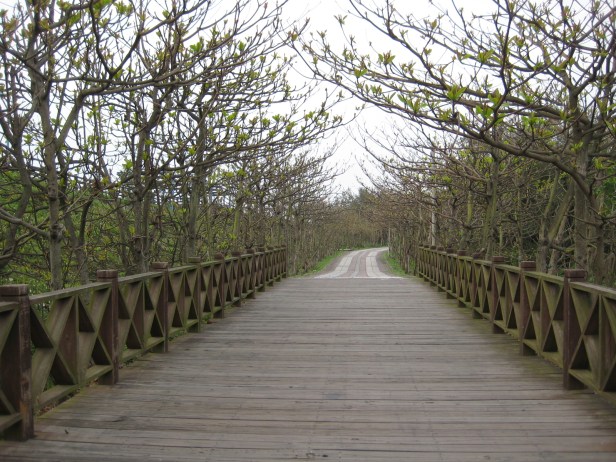 path