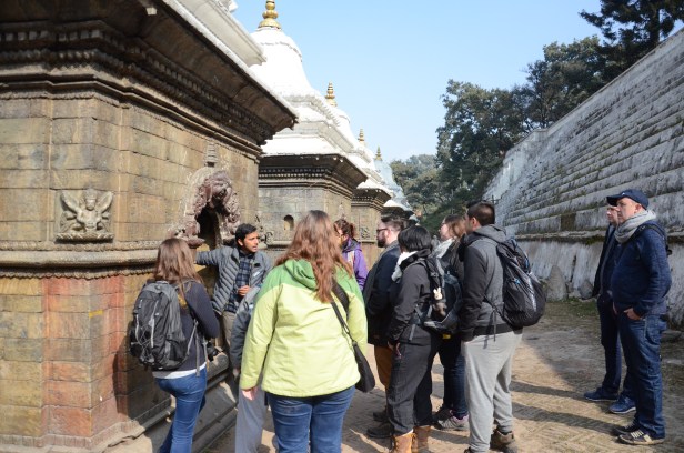 Photo thanks to Chloe